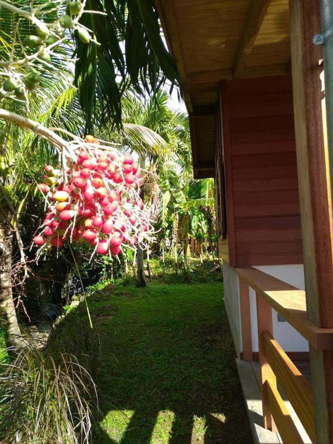 Villa Un Cosy Sous Le Vent Gourbeyre Esterno foto